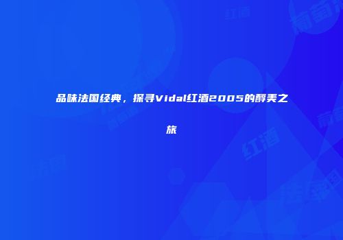 品味法国经典，探寻Vidal红酒2005的醇美之旅