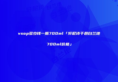 vsop多少钱一瓶700ml「轩尼诗干邑白兰地700ml价格」