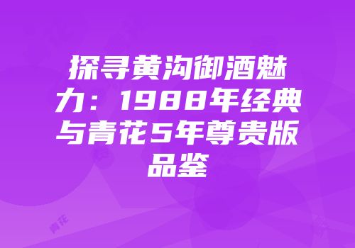 探寻黄沟御酒魅力：1988年经典与青花5年尊贵版品鉴