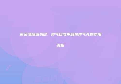 葡萄酒酿造关键：排气口与冷凝水排气孔的作用解析