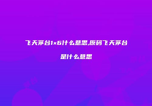 飞天茅台1×6什么意思,原码飞天茅台是什么意思