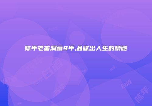 陈年老窖洞藏9年,品味出人生的精髓
