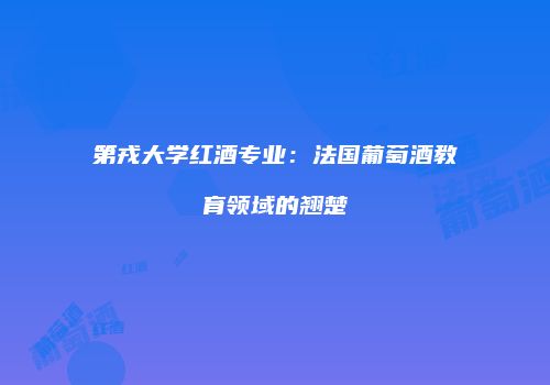 第戎大学红酒专业：法国葡萄酒教育领域的翘楚