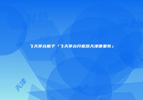 飞天茅台瓶子「飞天茅台开瓶器天津哪里有」