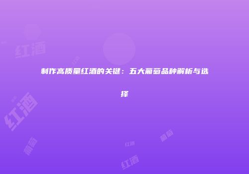 制作高质量红酒的关键：五大葡萄品种解析与选择