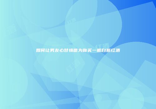 如何让男友心甘情愿为你买一瓶白瓶红酒