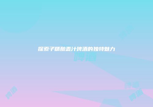 探索子精酿麦汁啤酒的独特魅力