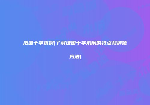法国十字木桐(了解法国十字木桐的特点和种植方法)