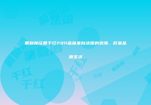 戴利摩庄园干红2011品味来自法国的浪漫，尽显品质生活
