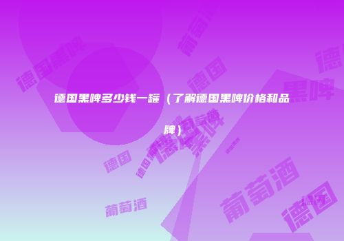 德国黑啤多少钱一罐（了解德国黑啤价格和品牌）
