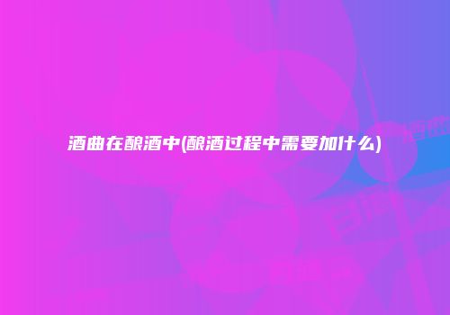 酒曲在酿酒中(酿酒过程中需要加什么)