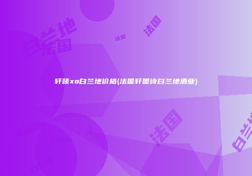 轩唛xo白兰地价格(法国轩图诗白兰地酒业)