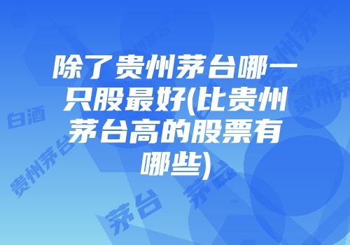 除了贵州茅台哪一只股最好(比贵州茅台高的股票有哪些)