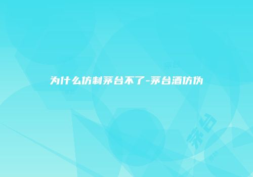 为什么仿制茅台不了-茅台酒仿伪