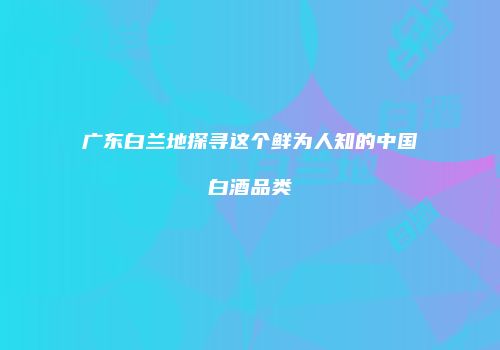 广东白兰地探寻这个鲜为人知的中国白酒品类