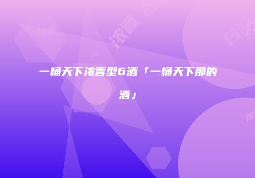 一桶天下浓香型6酒「一桶天下那的酒」