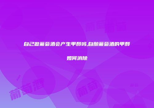 自己做葡萄酒会产生甲醇吗,自酿葡萄酒的甲醇如何消除