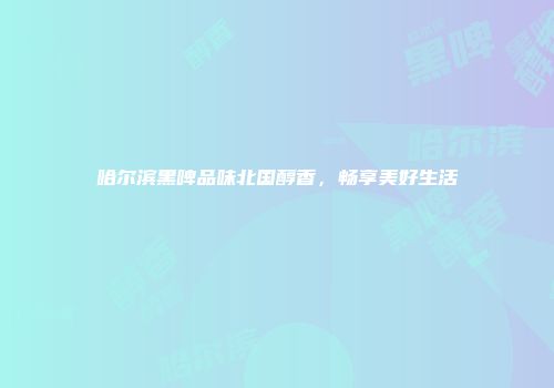 哈尔滨黑啤品味北国醇香，畅享美好生活