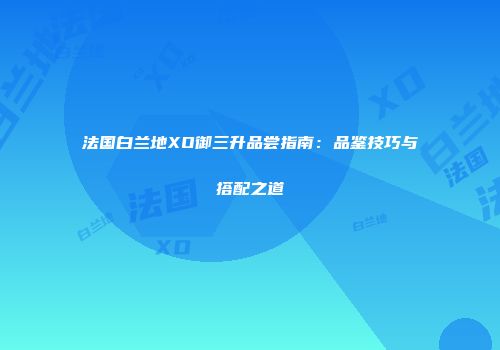 法国白兰地XO御三升品尝指南：品鉴技巧与搭配之道