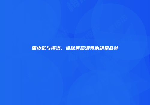 黑皮诺与梅洛：揭秘葡萄酒界的明星品种