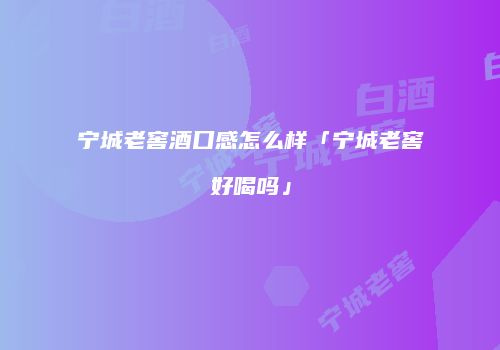 宁城老窖酒口感怎么样「宁城老窖好喝吗」