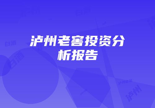 泸州老窖投资分析报告