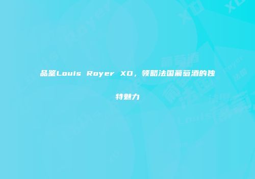 品鉴Louis Royer XO，领略法国葡萄酒的独特魅力