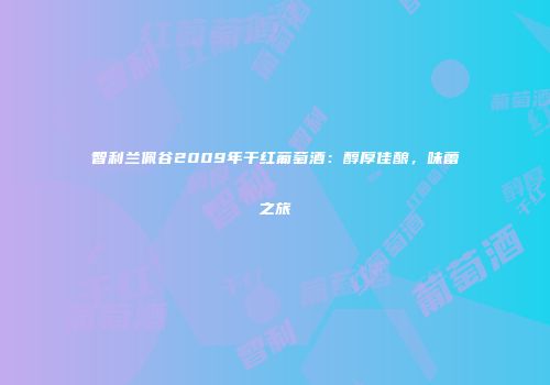 智利兰佩谷2009年干红葡萄酒：醇厚佳酿，味蕾之旅