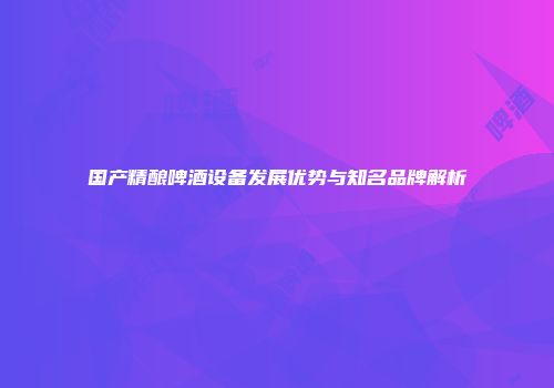 国产精酿啤酒设备发展优势与知名品牌解析