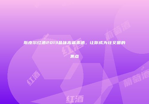 斯皮尔红酒2013品味高端美酒，让你成为社交圈的焦点