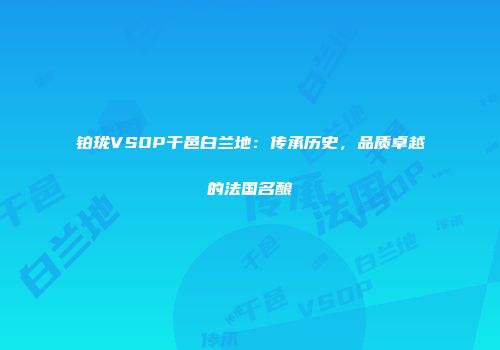 铂珑VSOP干邑白兰地：传承历史，品质卓越的法国名酿