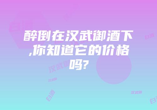 醉倒在汉武御酒下,你知道它的价格吗?