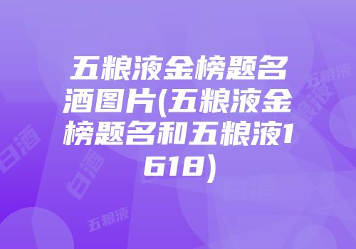 五粮液金榜题名酒图片(五粮液金榜题名和五粮液1618)