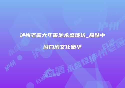 泸州老窖六年窖池永盛烧坊_品味中国白酒文化精华