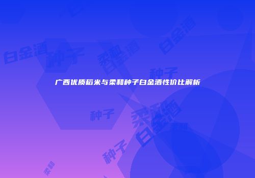 广西优质稻米与柔和种子白金酒性价比解析