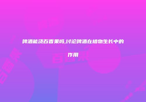 啤酒能浇百香果吗,讨论啤酒在植物生长中的作用