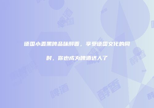 德国小麦黑啤品味醇香，享受德国文化的同时，你也成为啤酒达人了