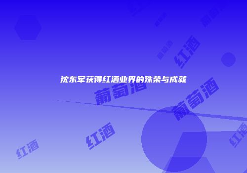 沈东军获得红酒业界的殊荣与成就