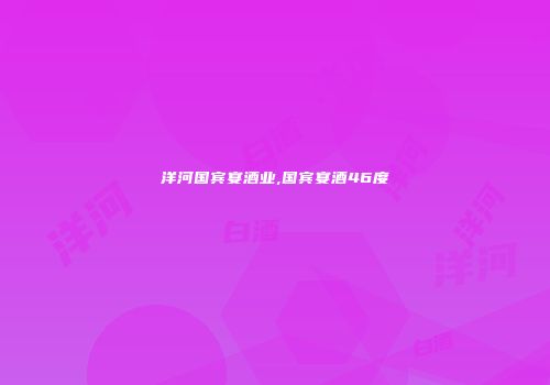 洋河国宾宴酒业,国宾宴酒46度