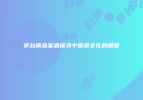 茅台镇品鉴酒探寻中国酒文化的精髓