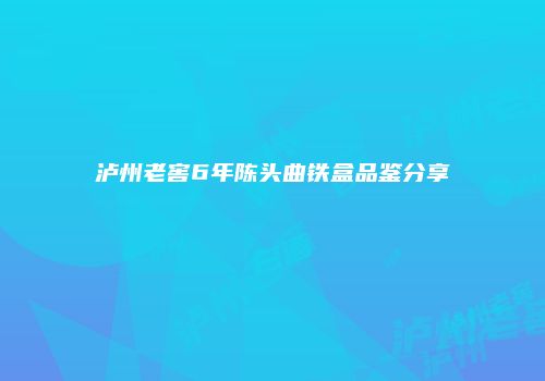 泸州老窖6年陈头曲铁盒品鉴分享