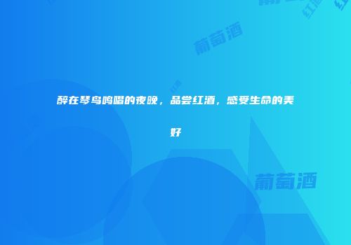醉在琴鸟鸣唱的夜晚，品尝红酒，感受生命的美好