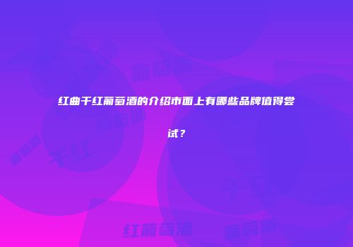 红曲干红葡萄酒的介绍市面上有哪些品牌值得尝试？
