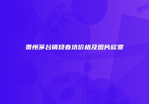 贵州茅台镇烧春坊价格及图片欣赏