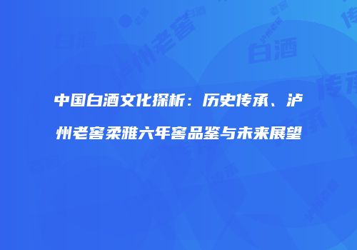 中国白酒文化探析：历史传承、泸州老窖柔雅六年窖品鉴与未来展望