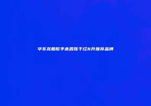 华东龙船舵手赤霞珠干红6升推荐品牌
