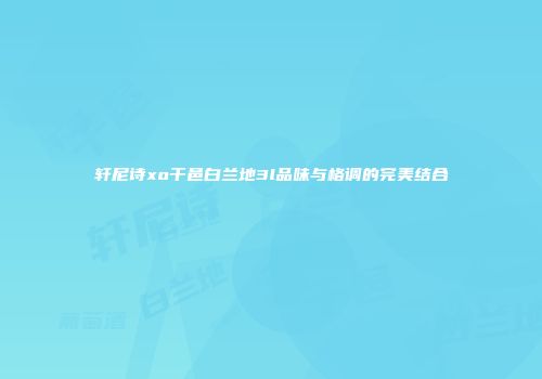 轩尼诗xo干邑白兰地3l品味与格调的完美结合