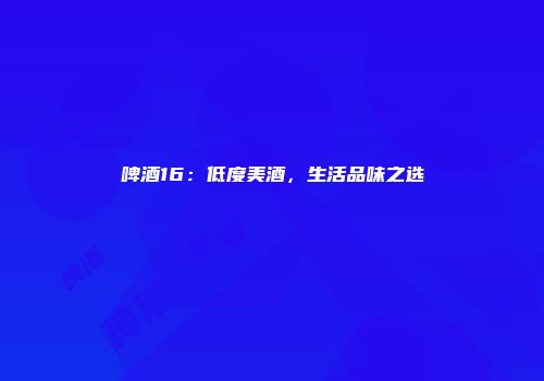 啤酒16：低度美酒，生活品味之选