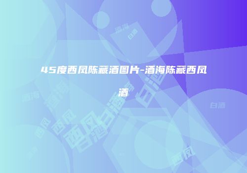 45度西凤陈藏酒图片-酒海陈藏西凤酒