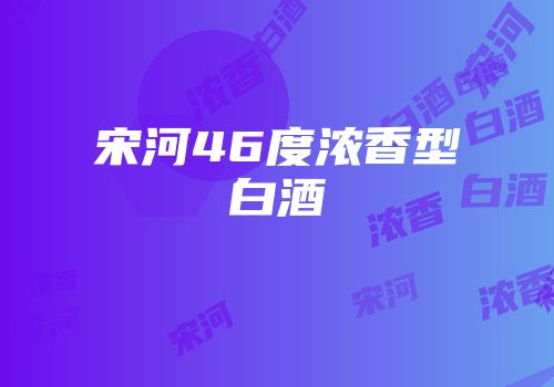 宋河46度浓香型白酒